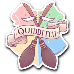 /STICKER_HARRY_POTTER: Quidditch