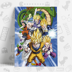 CUADRO_DRAGON_BALL