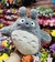 TOTORO 25 CM