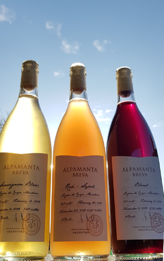 Alpamanta Breva Sauvignon Blanc 2019 - comprar online