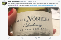 Pasaje Nobrega Chardonnay de las cenizas 2019 - comprar online