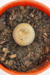 Imagen de LITHOPS