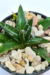 AGAVE VICTOREAE REGINAE - comprar online