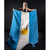 Bandera argentina - tienda online
