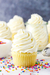 BUTTERCREAM X 360 GRS - PASTELAR - comprar online