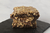 Brownie con nueces - comprar online