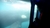 Avistaje Submarino de Ballenas