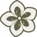 Logo de Loja online de Craftsnuna