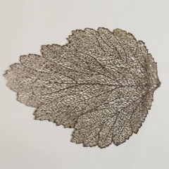 Individual Leaf