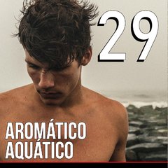 Perfume IDEM Masculino Nº29 Eau de Parfum - Insp. Acqua di Gió Profumo da Giorgio Armani - comprar online