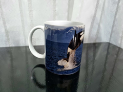 taza triple aaa importada