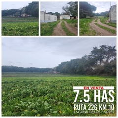 7.5 HECTAREAS - RUTA 226 KM 10