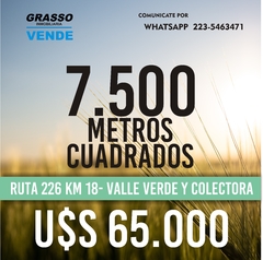 FRACCION 7500 M2 - VALLE VERDE Y COLECTORA SIERRA DE LOS PADRES