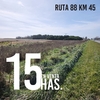 15.8 HECTAREAS RUTA 88 KM 45.5