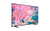 Televisor Samsung 55" Qled Qn55Q65Bagczb - comprar online