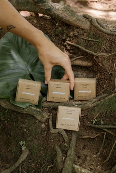 ACONDICIONADOR DE CACAO