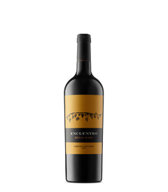 ENCUENTRO RUTINI CABERNET SAUVIGNON X 6 BOTTELAS