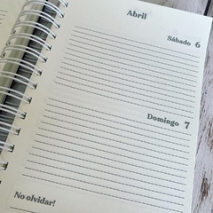 AGENDA BRILLAR DIARIA - comprar online