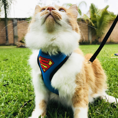 Pechera para gato Supercat