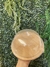 Porta Queijo em Bambu com tampa de acrílico - 18,8cm - comprar online