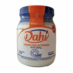 yogurt Dahi deslactosado natural 190g