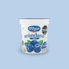 Yogurt Tregar con arandanos 160grs