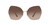 Dolce & Gabbana - 2204 02/13 64 - Óculos de Sol - comprar online