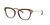 Dolce & Gabbana - 5052 3159 52 - Óculos de Grau