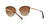 Michael Kors - 1046 110013 56 - Óculos de Sol - Key Biscayne na internet