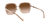 Michael Kors 1075 101413 57 - Óculos de Grau - Naples na internet