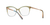 Michael Kors - 4057 3505 53 - Óculos de Grau - Anguilla na internet