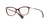 Ralph 7086 1674 54 - Óculos de Grau na internet