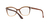 Vogue - 5160L 2750 54 - Óculos de Grau - METAL EYEBROW na internet