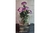 Lisiantus lilás no cachepo de madeira, um presente formal para quem gosta de sinceridade.