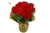 Begonia Vermelha no papel colorido, uma opção de vaso com longa durabilidade.