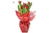 Tulipa. no papel colorido e laço, sofisticada e luxuosa. Ideal para ocasiões especiais.