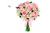 Buquê com oito rosas cor de rosa ,astromelias, uma opção elegante e sofisticada.