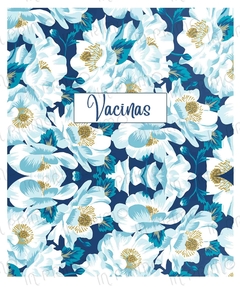 Capa Vacina Adulto_01