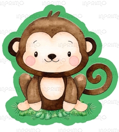 Naninha Macaco