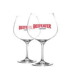 Copa Gin Tonic Beefeater