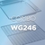 Combo WG246 Para Hornos iCombi Pro XS 2/3 GN - Wayne Gourmet