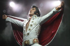 Elvis Presley 7 - Live In 72 - Neca na internet