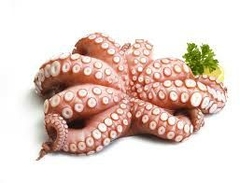 pulpo español x 800g