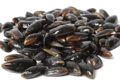 Mejillones Enteros x 500 g