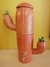 Filtro Cactus na internet