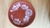 Prato cerâmica Maragogopinho 20 cm na internet