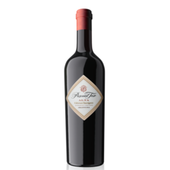 Alta Cabernet Sauvignon x 6 - Pascual Toso