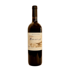 Antucura Cuveé Vol de Nuit Cabernet Franc x 6