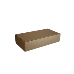 Caja Kraft mediana rectangular