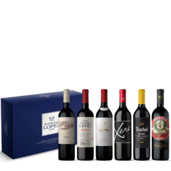 Box Amantes del Malbec 6 x 750 ml - Bodegas Lopez